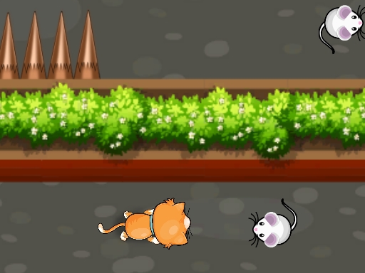 Cat Trap Labyrinth Escape img